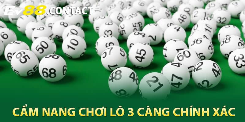 Cẩm Nang Chơi Lô 3 Càng Chính Xác