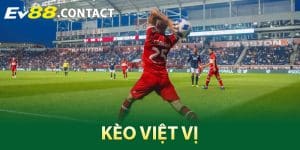 Kèo Việt Vị