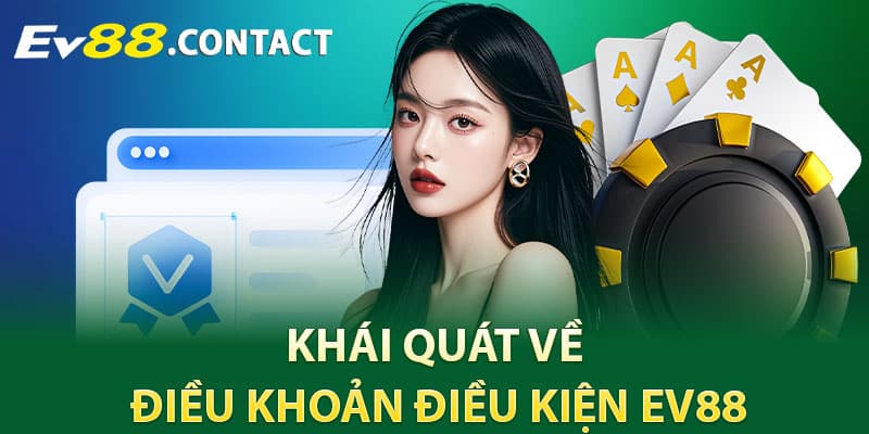 Khái quát về điều khoản điều kiện EV88